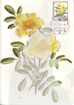 CH MC 1236 / 1240 ● - 1982